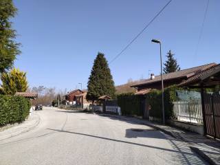 Zona