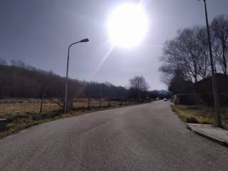 Zona