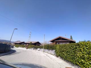 Zona