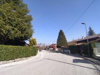 Zona