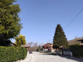 Zona