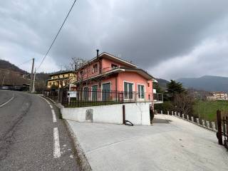 Zona
