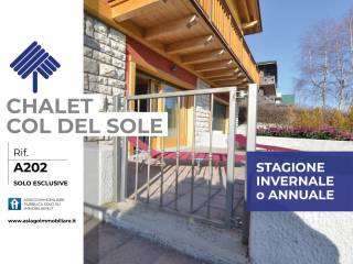 Ingresso