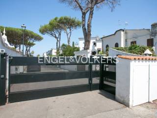 Ingresso