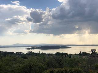 Vista