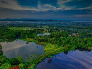 Vista