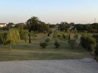 Vista