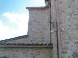 Zona