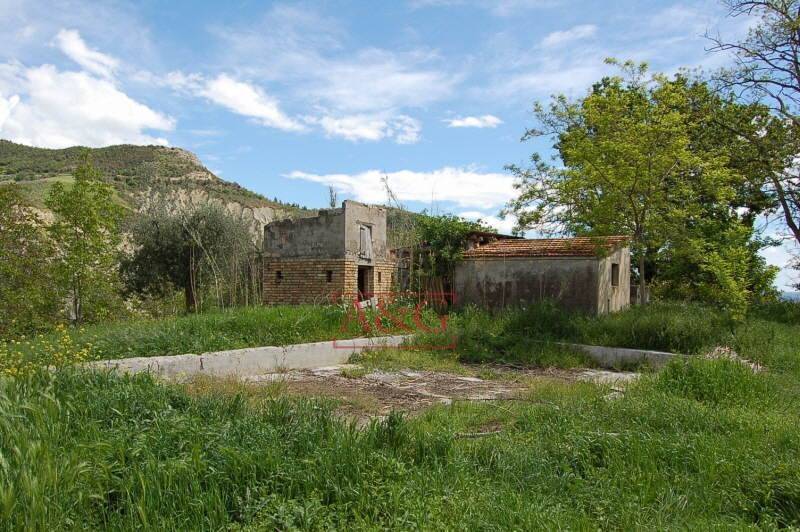 Terreno