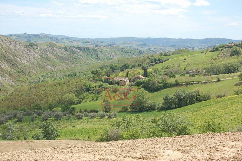 Vista