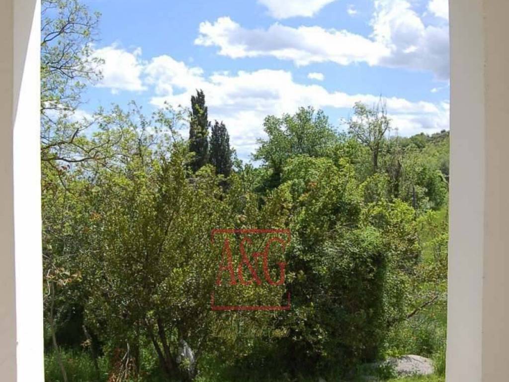 Vista
