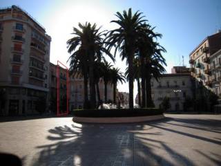 Zona