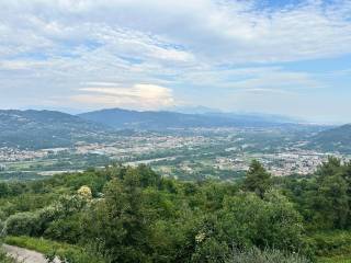 Vista