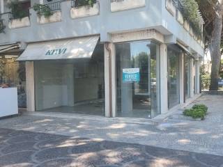 Zona