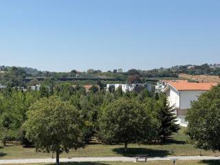 Vista