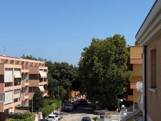 Vista