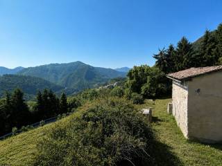 Vista