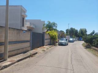 Zona