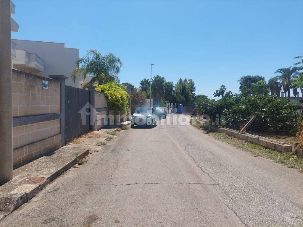 Zona
