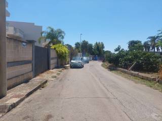 Zona