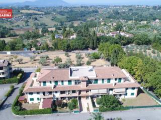 Vista
