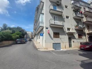 Zona