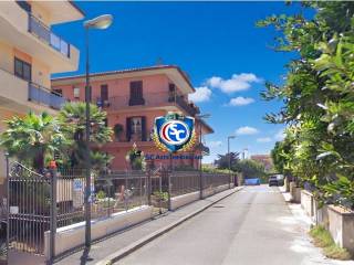 Zona