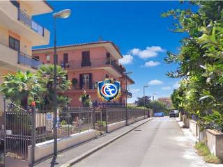 Zona