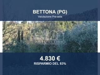 Altro