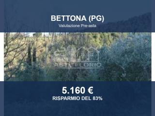 Altro