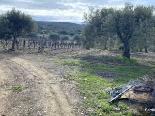 Terreno