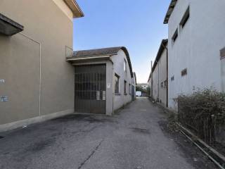 Zona