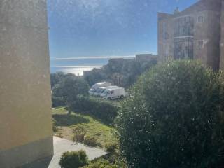 Vista