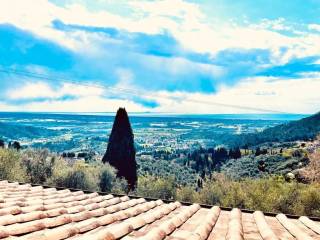 Vista