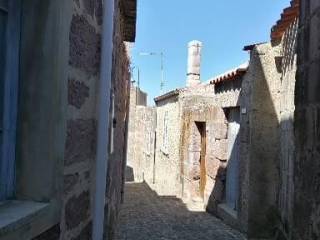 Zona