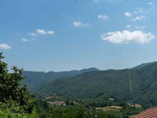 Vista