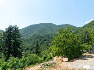 Vista