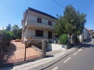 Zona