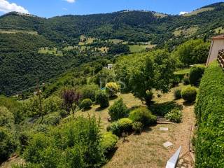 Vista