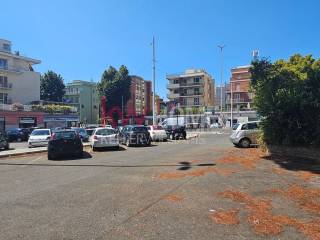 Zona