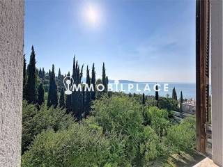 Vista