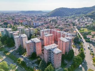 Vista