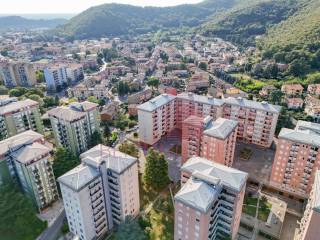 Vista