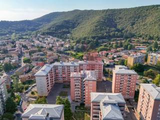 Vista