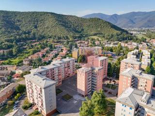 Vista