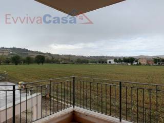 Vista