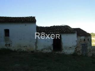 Zona