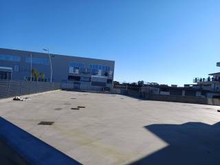 Zona