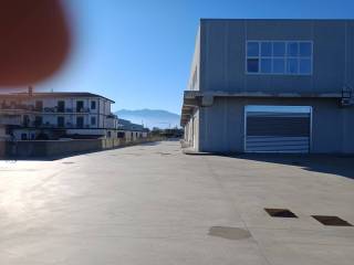 Zona