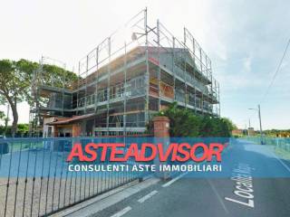 Zona